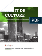 Audit de Culture D'entreprise