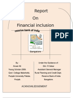 On Financial Inclusion: Acknowledgement