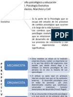 Final Psicologia Evolutiva