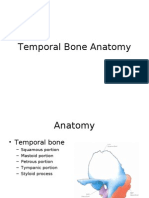 Temporal Bone Anatomy