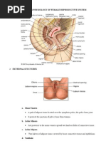 Anatomy & Physiology of Female Reproductive System