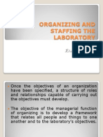 Organizing and Staffing