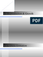 4.1 Gamete Formation