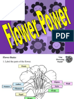 Flower Basics