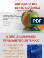 Geomorfologia Del Pensamiento Sistemico