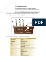 Humedales FWS