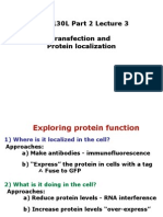 MCB 130L Part 2 Lecture 3 Transfection and Protein Localization