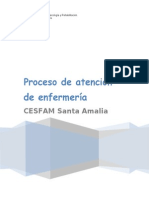 PAE Cesfam Santa Amalia