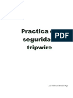 Practica Tripwire