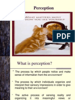 2 - Perception Theory