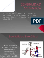 Sensibilidad Somatica