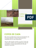 Cotos de Caza