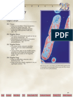 Microbiology: Chapter Concepts