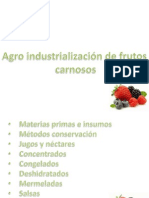 Agroindustrializacion Frutas