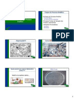 Aula 2 - Introducao As Etapas Do Processo Analitico