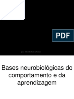 Bases Neurobiológicas Do Comportamento e Da Aprendizagem