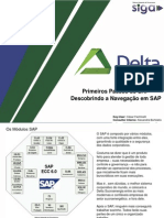 Primeiros Passos Do SAP