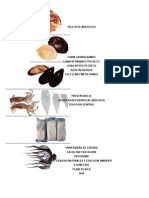 Taller de Moluscos