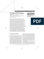 Sensing of DNA Damage: Advanced Article Xiaohong H. Yang, Lee Zou