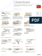 Radiographic Positioning Dog