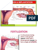 2-Fertilization & Implantation