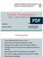 Vision Panoramica Del Metabolismo