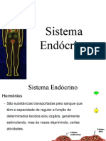 Sistema Endocrino