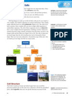 Plant and Animal Cells