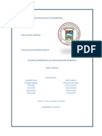 Informe Contaminacion Ambiental (Autoguardado)