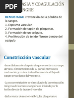 Hemostasia y Coagulación de La Sangre