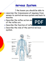 Neurons Types