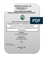 PERFIL DE PROYECTO DE INVESTIGACION - VIII - A - Composición Florística y Condición de Los Pajonales en El Centro de Investigación de Camélidos