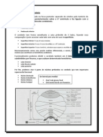 Macro Anatomia Do Cerebelo