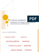 Capital Markets: Overview of Market Participants and Financial Innovation