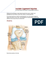 Anterior Cruciate Ligament Injuries