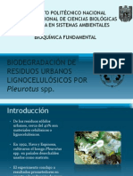 BIODEGRADACIÓN DE RESIDUOS URBANOS LIGNOCELULÓSICOS POR Pleurotus