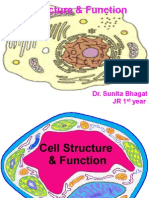 The Cell