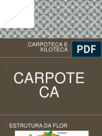 Carpoteca e Xiloteca