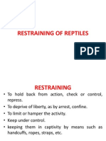 Restraining of Reptiles