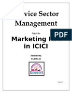 Marketing Mix in ICICI