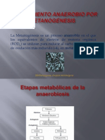 METANOGÉNESIS