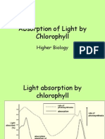 Absorption of Light by Chlorophyll