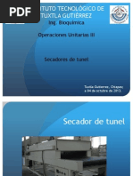 Secador de Tunel