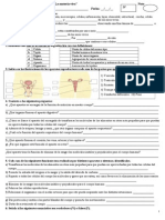 ACTIVIDADES de REPASO Ciencias Naturales La Materia Viva