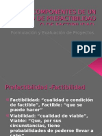 Estudio de Factibilidad de Un Proyecto