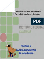 Agroindústria - Carne e Derivados