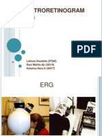 Electroretinogram (Erg)