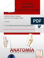 Anomalías Congénitas Localizadas en Rodilla