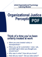 Organizational Justice Perceptions: Industrial-Organizational Psychology Learning Module