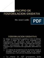 Fosforilacion Oxidativa